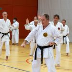 Fotonachlese 1. Karate Oberösterreich-Tag: Trainings