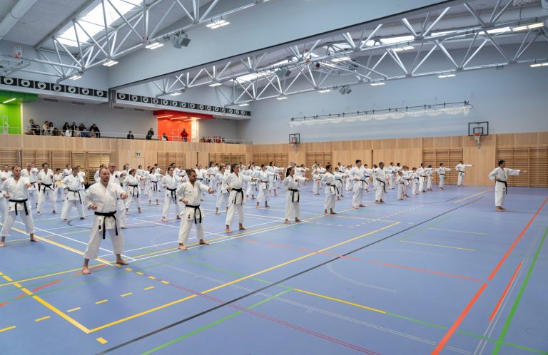 Karate Oberösterreich Tag in Linz