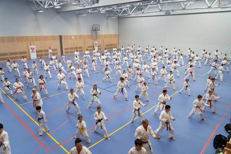 Karate Oberösterreich Tag im Olympiazentrum Linz
